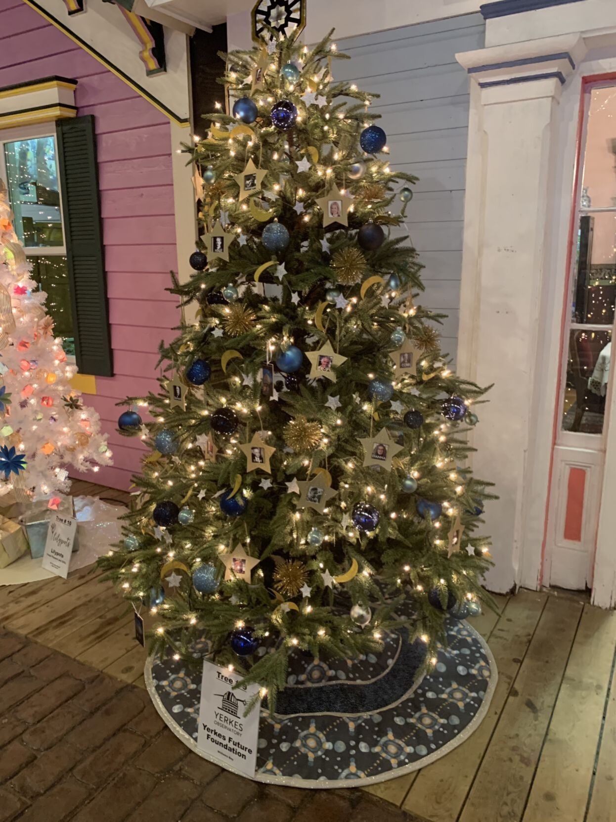 Yerkes Future Foundation tree
